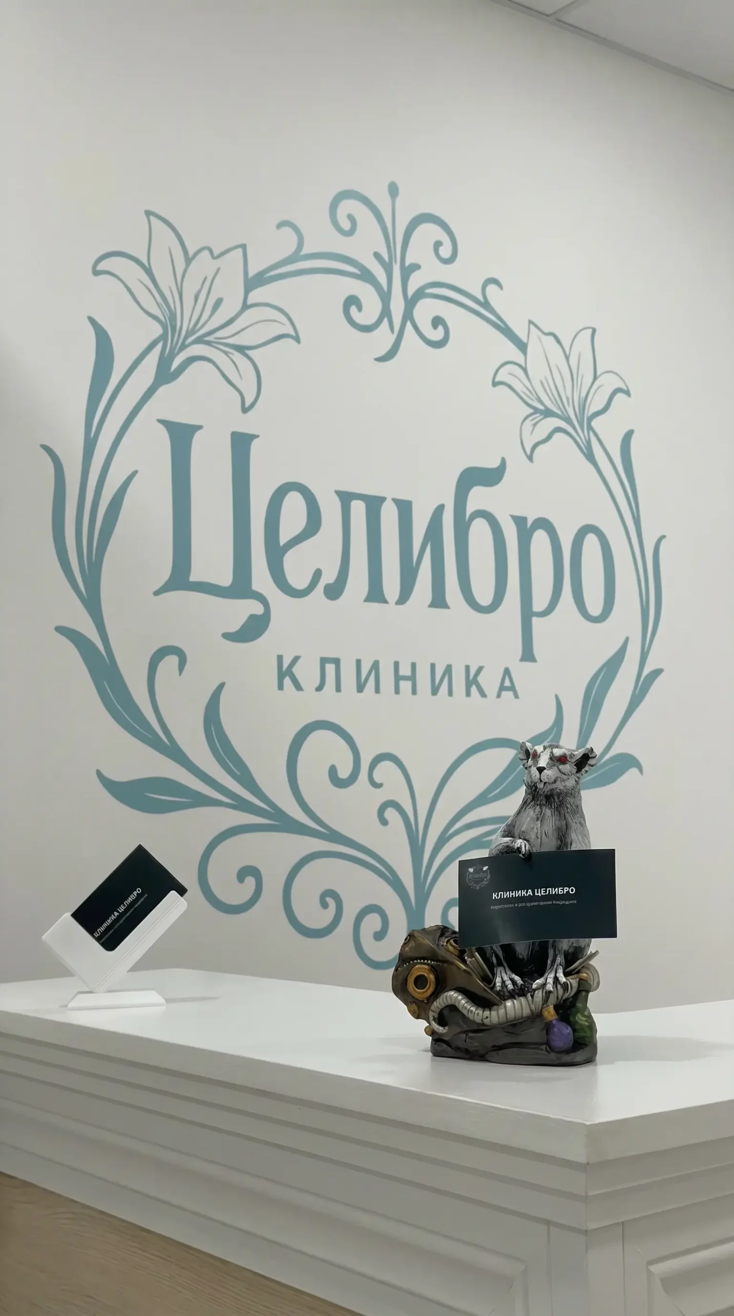 Клиника интегративной медицины «Целибро» в Санкт-Петербурге